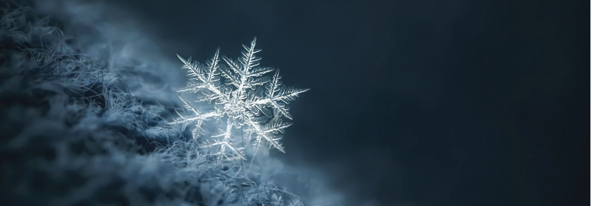 The Pros and Cons of Snowflake Cloud Data Warehouse
