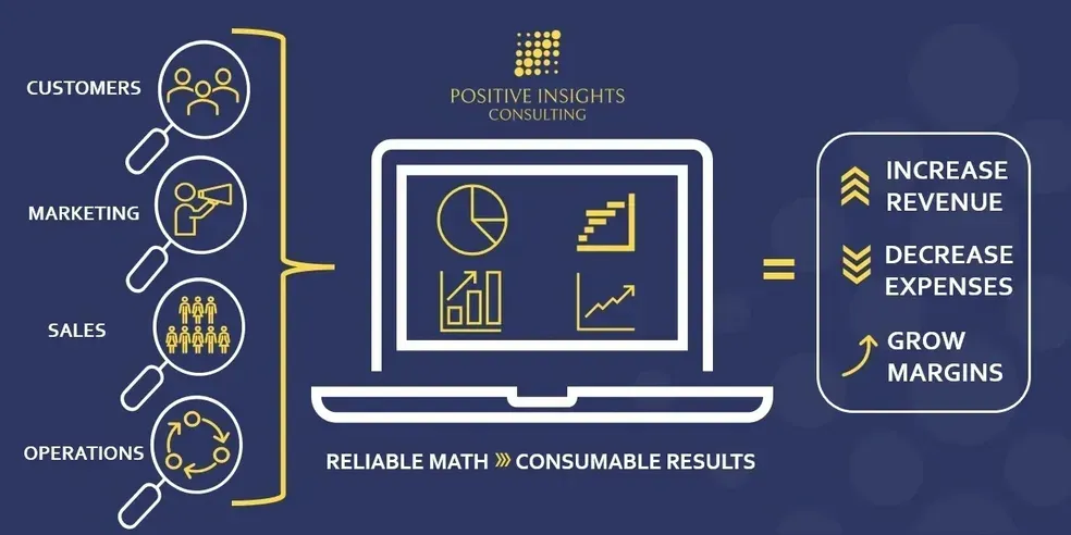 Positive Insights Consulting Diagram