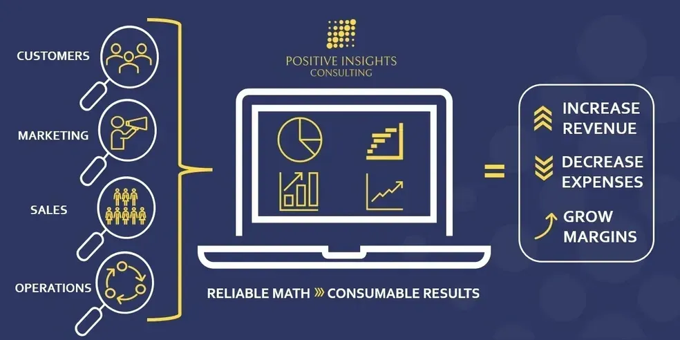 Positive Insights Consulting diagram