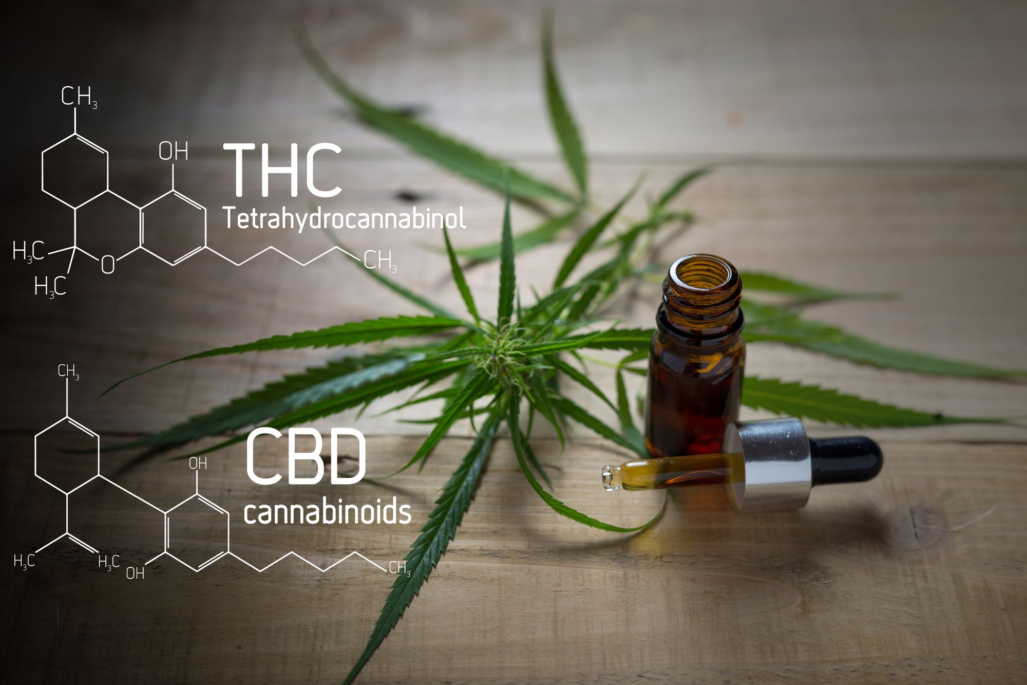 Cannabis is Beneficial to Patients as Data is to Cannabis Companies
