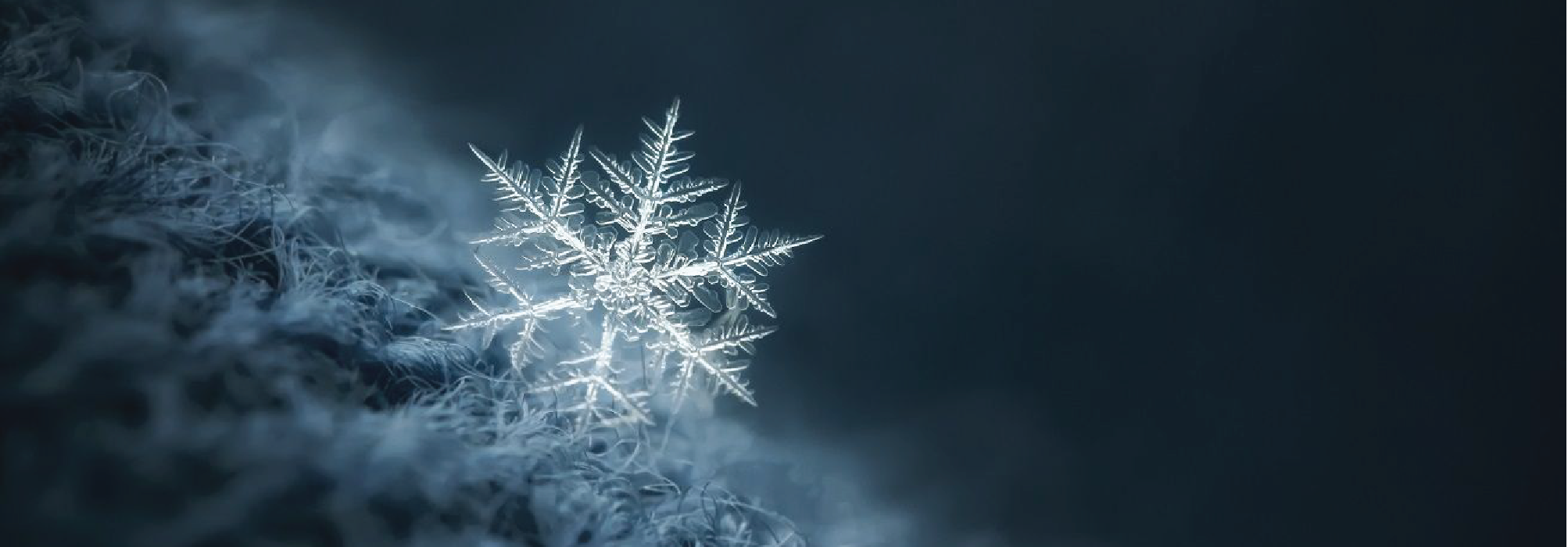 Pros and Cons of Using Snowflake Cloud Data Warehouse